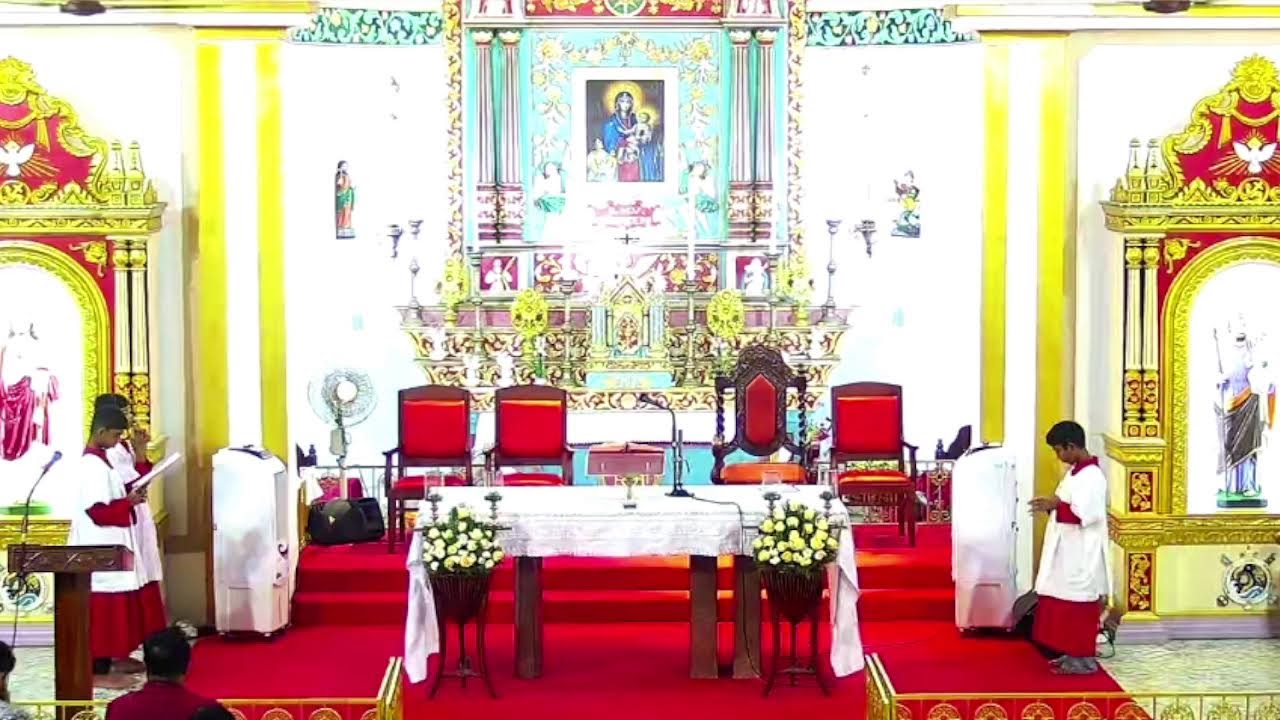 08 FEBRUARY 2026 - 05.30PM  ||  LIVE HOLY MASS  ||  VALLARPADAM SHRINE BASILICA