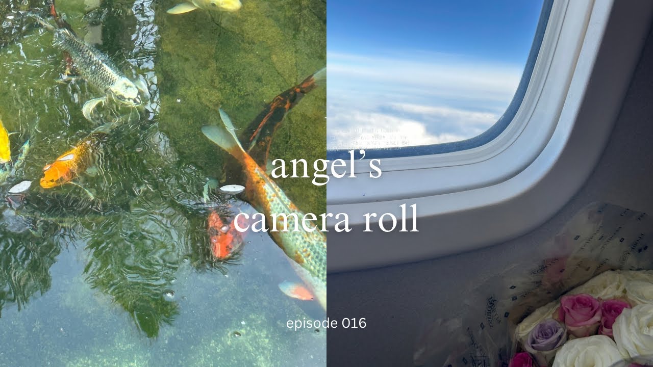 angel’s camera roll🎞️🤍