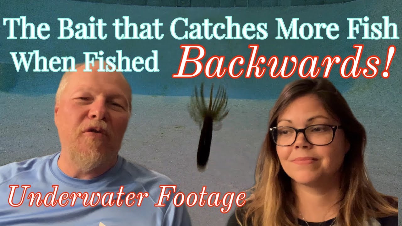 Fat Ika: наживка, на которую можно поймать больше рыбы, если ловить рыбу задом наперед!