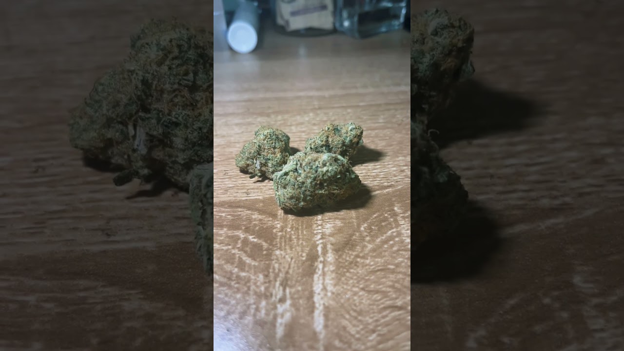 Funky Skittlez  by HighGreens #ukmedicalcannabis