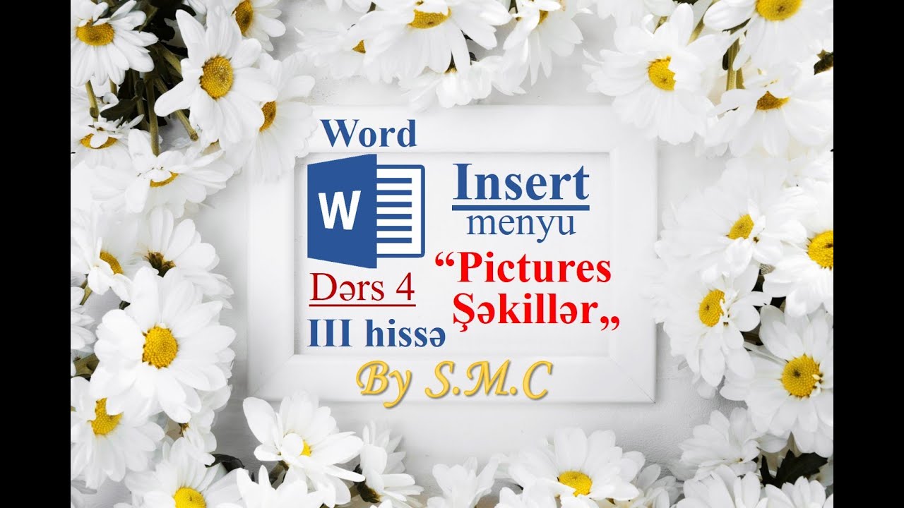 Word. Insert menyu. III hissə - Pictures. Şəkillər
