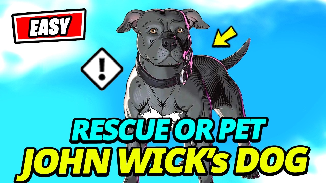 How to EASILY Rescue or Pet JOHN WICK's Dog (FREE SIDEKICK) - Fortnite Season 3 Quest