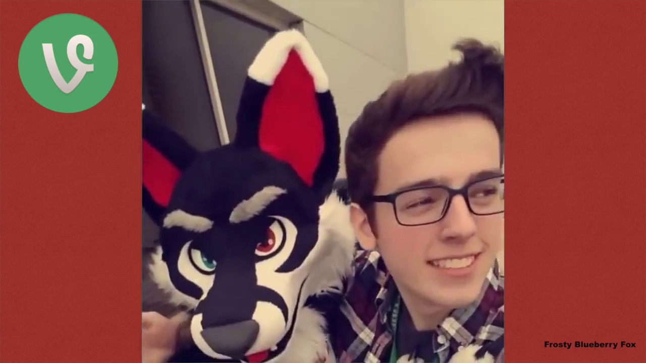 Furry Vine Compilation #1 100+ Vines 2017 Ft Fursuit Dancers, Telephone and More