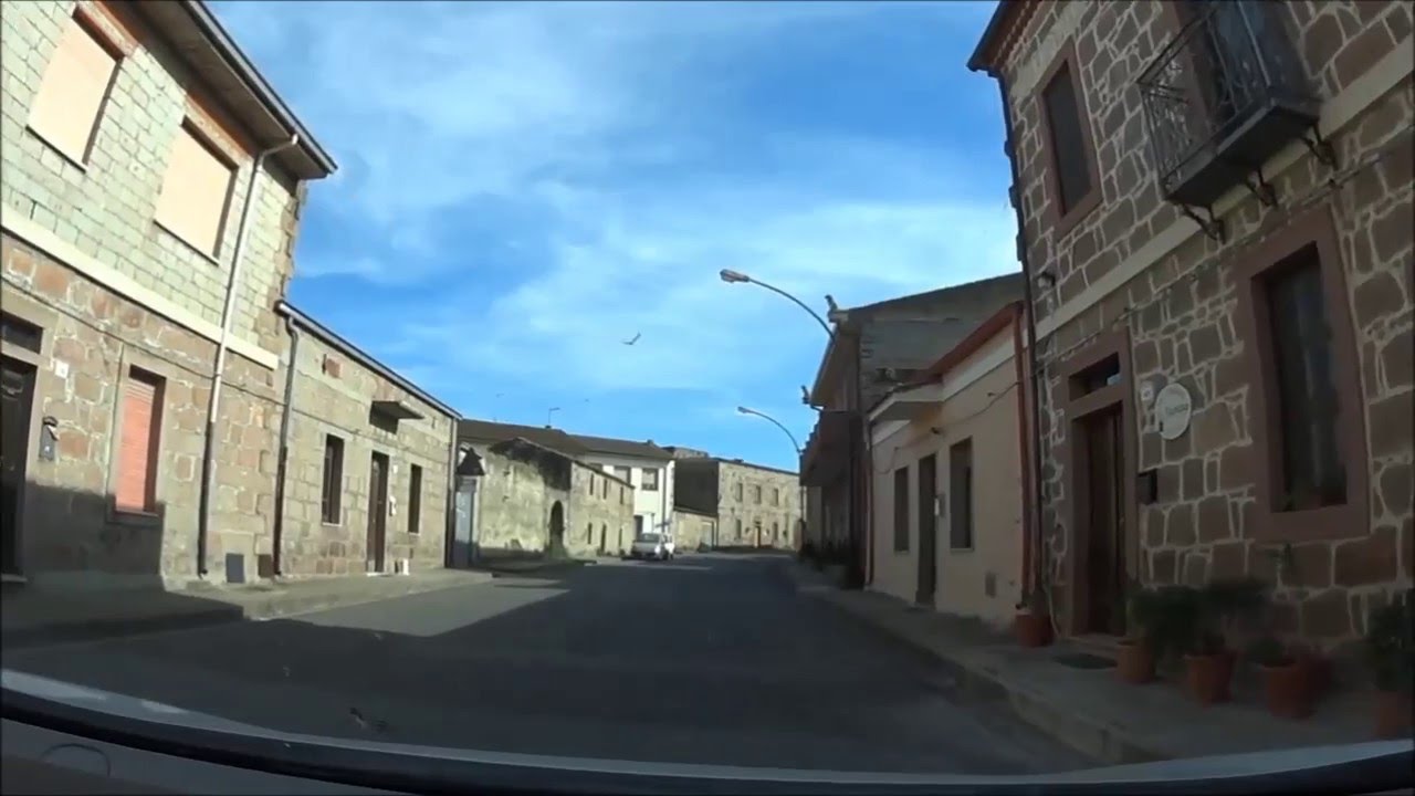 FORDONGIANUS slow motion