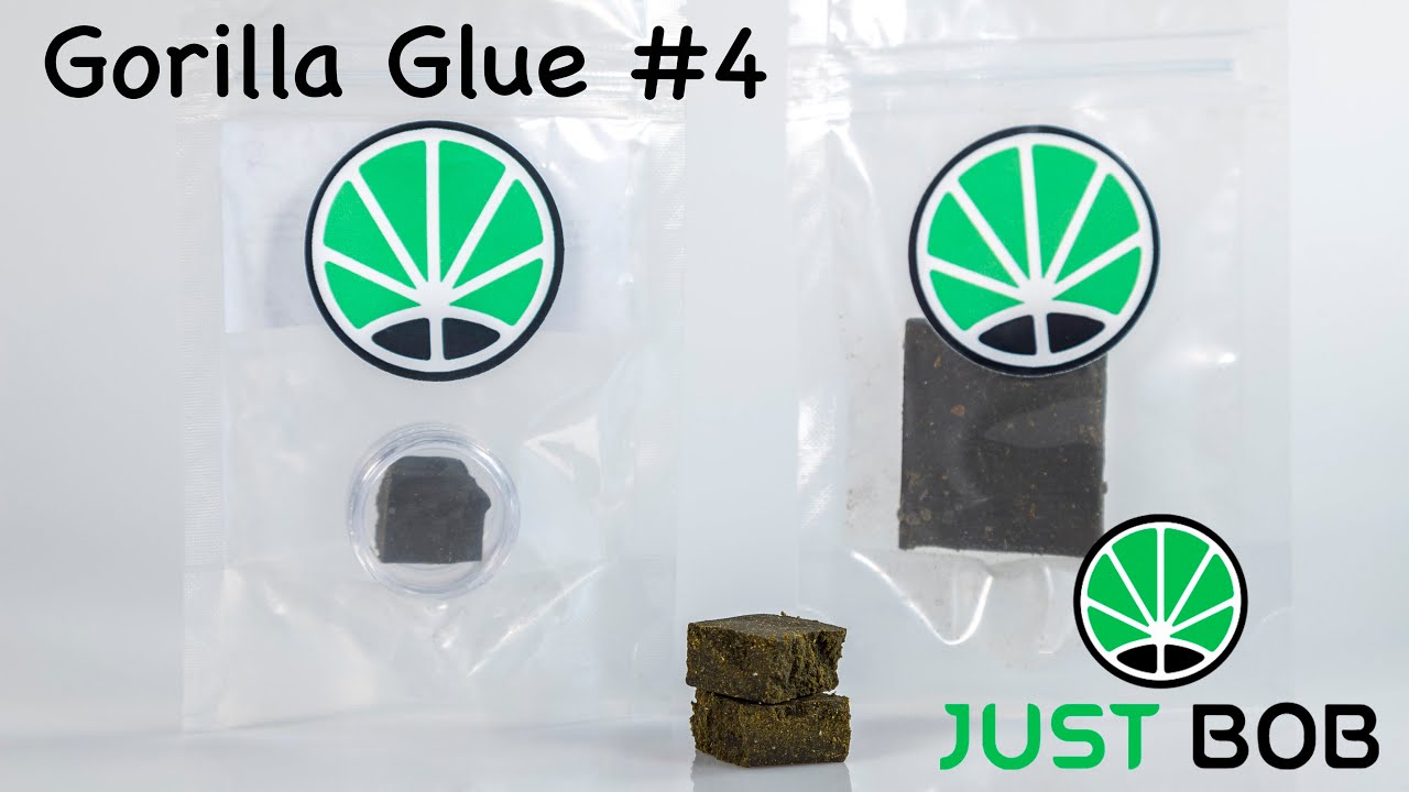 Gorilla Glue #4 CBD - Cbd Espana -  JustBob SPA