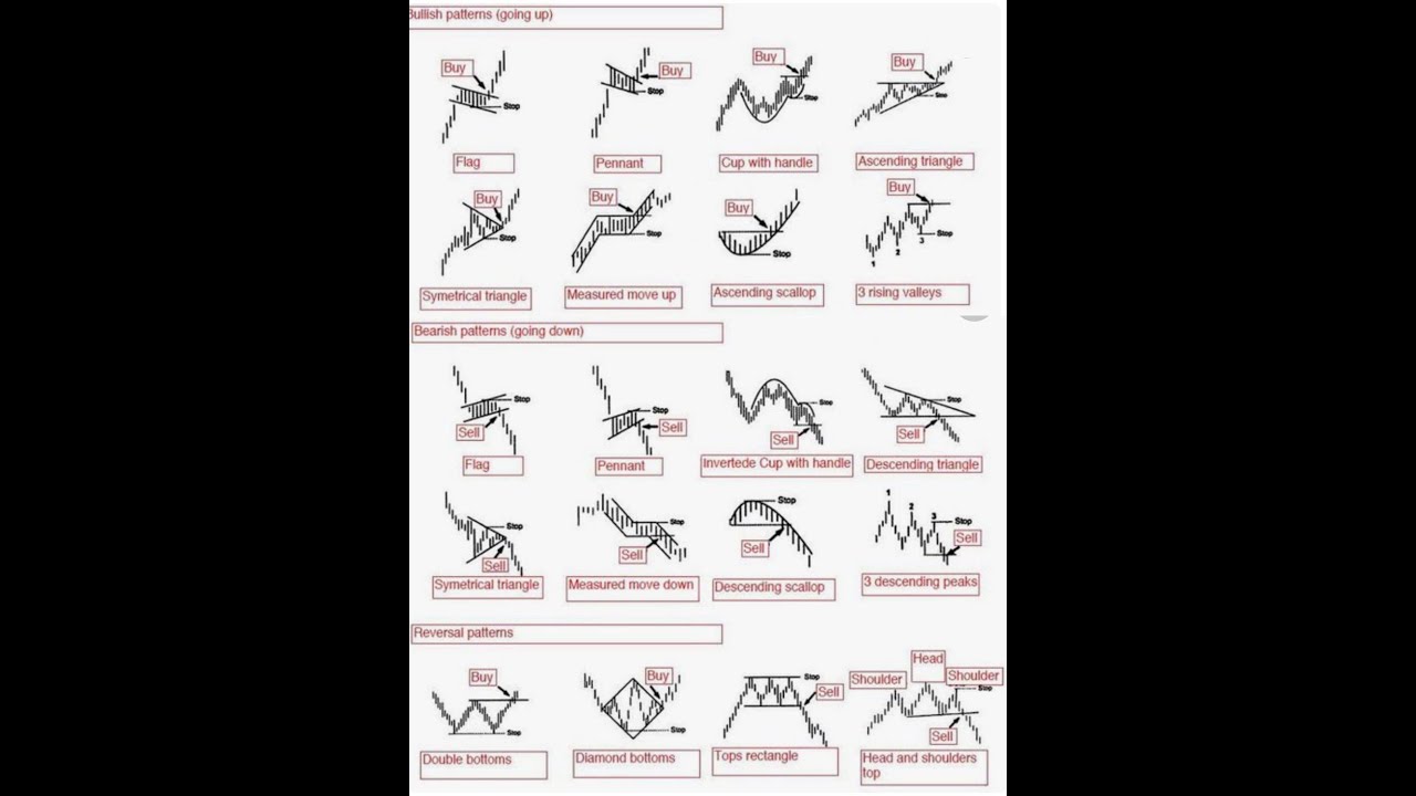 live trading in NSE listed companies