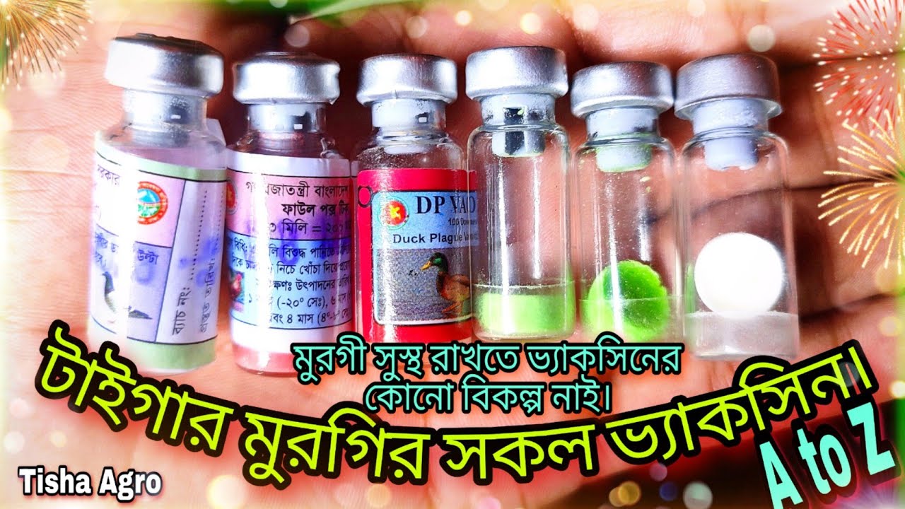 মুরগীকে কোন সময় কী ভ্যাকসিন করতে হবে? /  মুরগির ভ্যাকসিন করার সঠিক নিয়ম ও পদ্ধতি  A to Z
