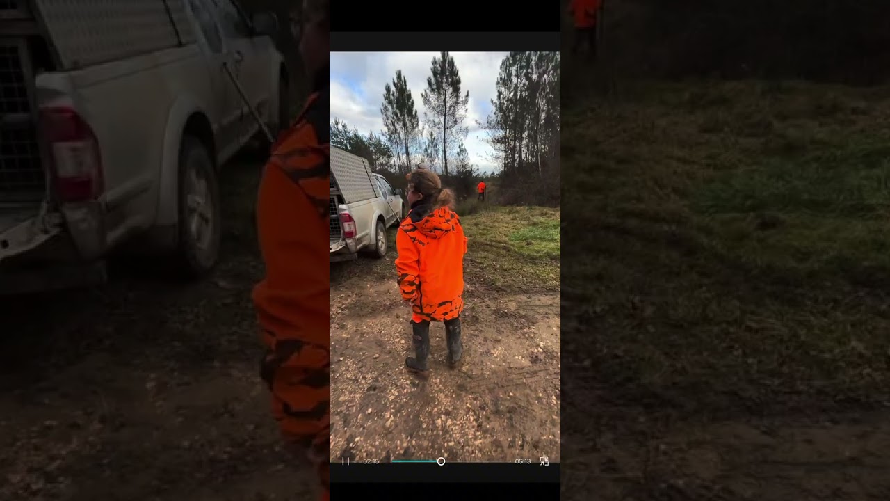 Chasse 2026 au sanglier au château de Puycheny 🐗🐶