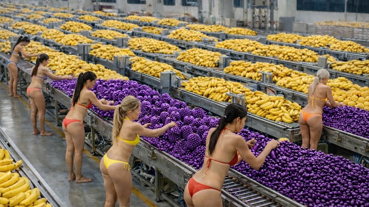Inside an industrial-scale factory producing eggplants, bananas, and pineapples — millions of tons