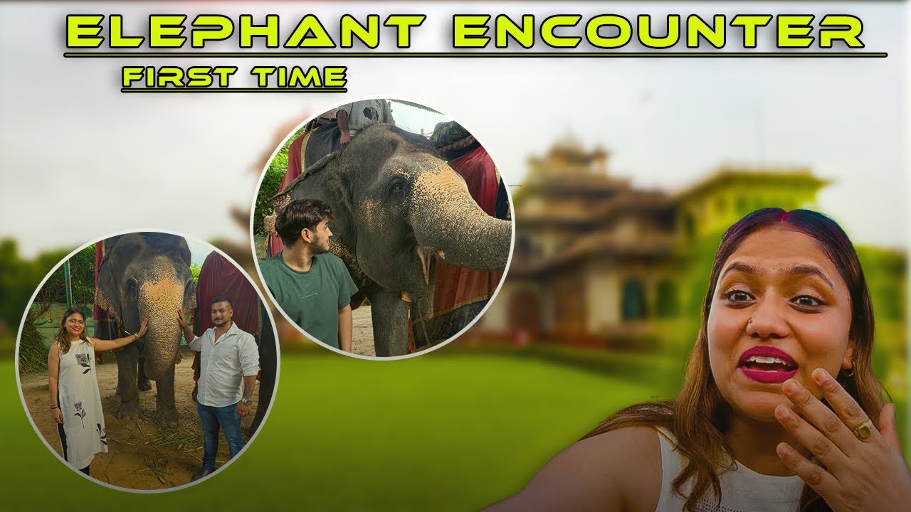 Day-3 Exploring Royal Rajasthan! Albert museum, Jal Mahal, Elephant Village & Nahargarh Fort 🩷