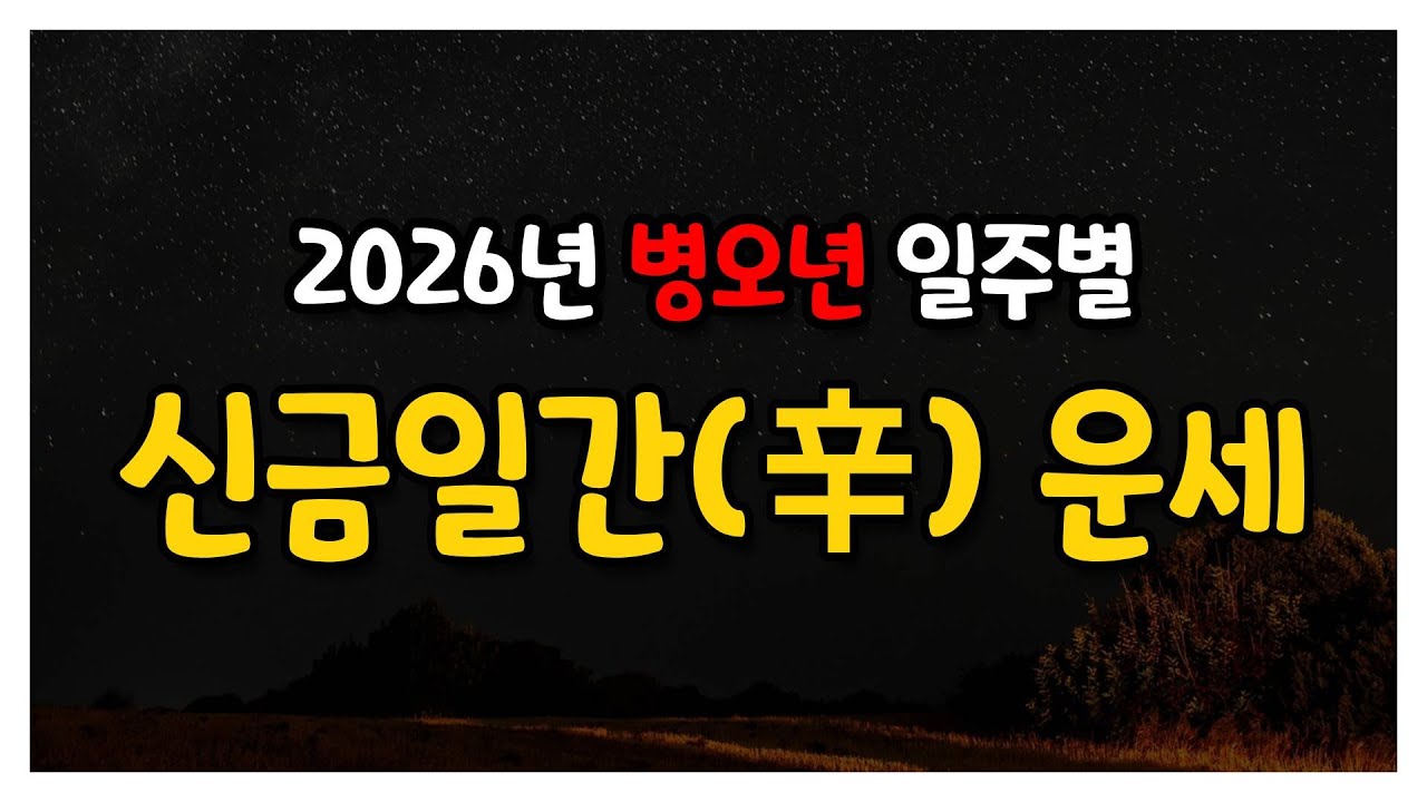 병오년) 신금일간 운세 심층분석