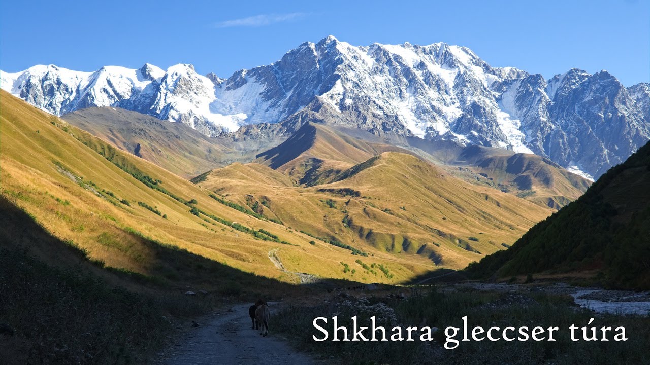 Shkhara gleccser túra tehénkékkel