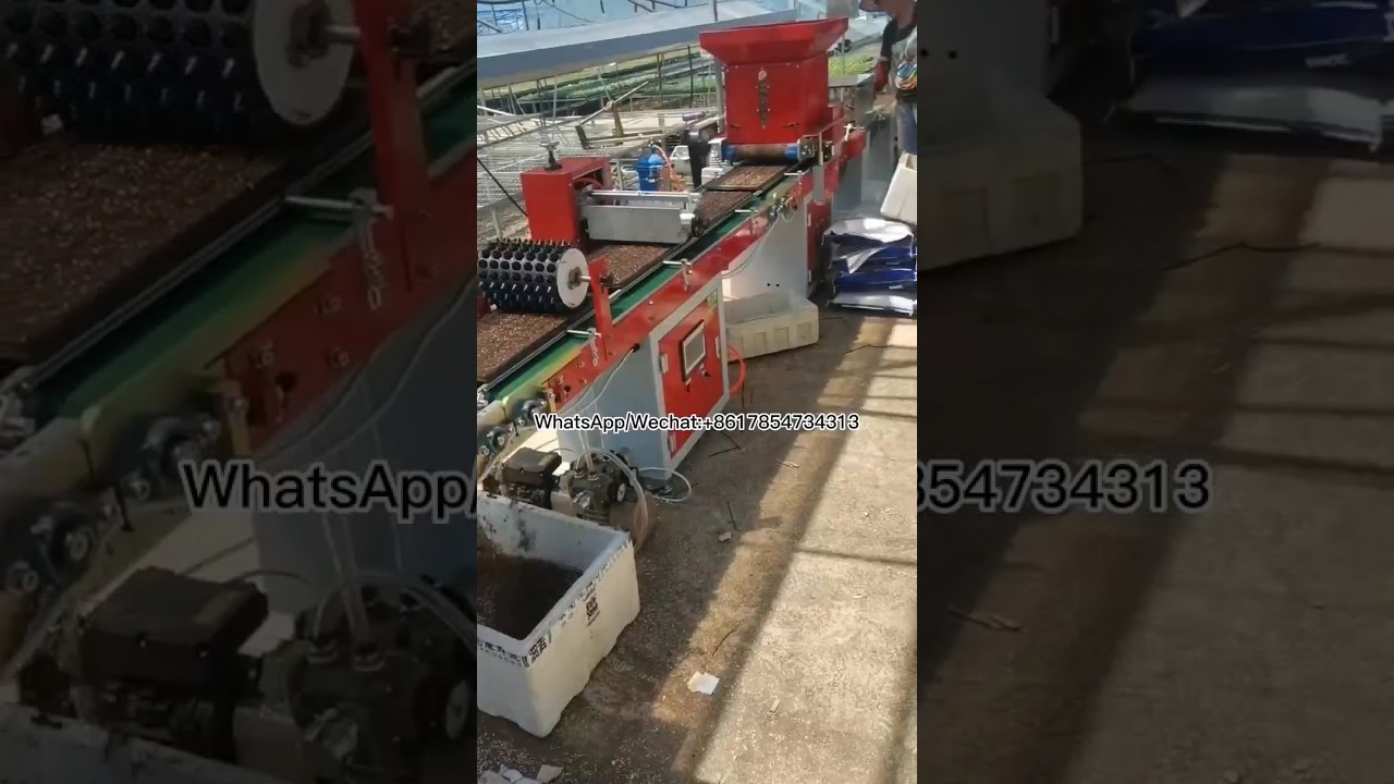 Plug tray automatic sowing line, nursery nursery equipment