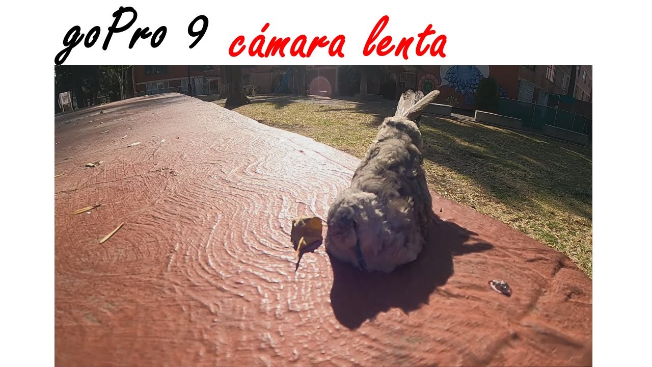 TECH - goPro 9 cámara lenta - slowMotion