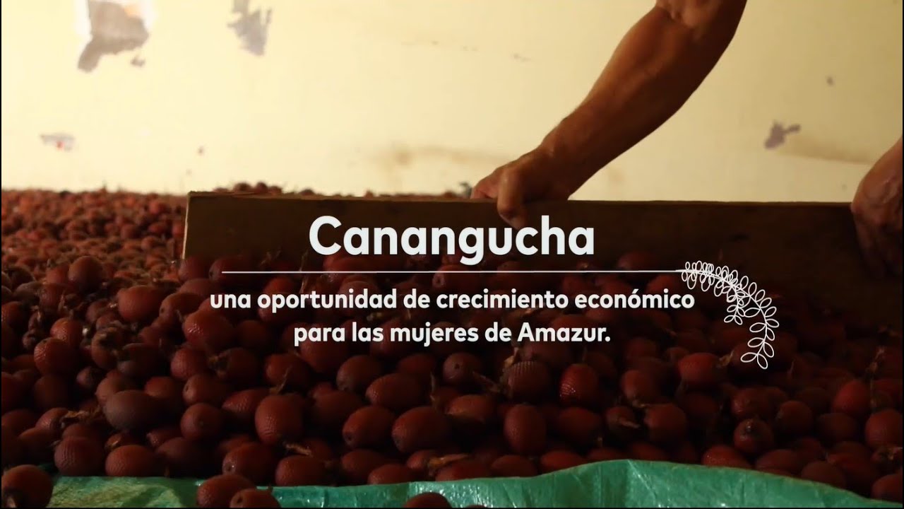 Canangucha - una oportunidad de crecimiento económico para las mujeres de Amazur