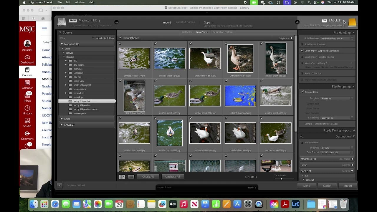jan 29 photo 525 project 1 lightroom demo and contact sheet