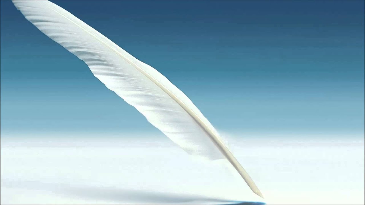 Feather