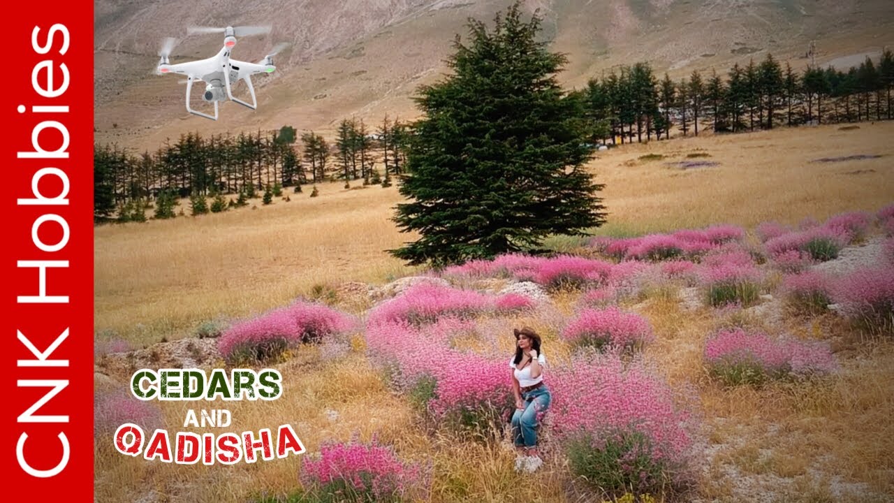 Qadisha Valley and Cedars of Lebanon  | وادي قاديشا والأرز
