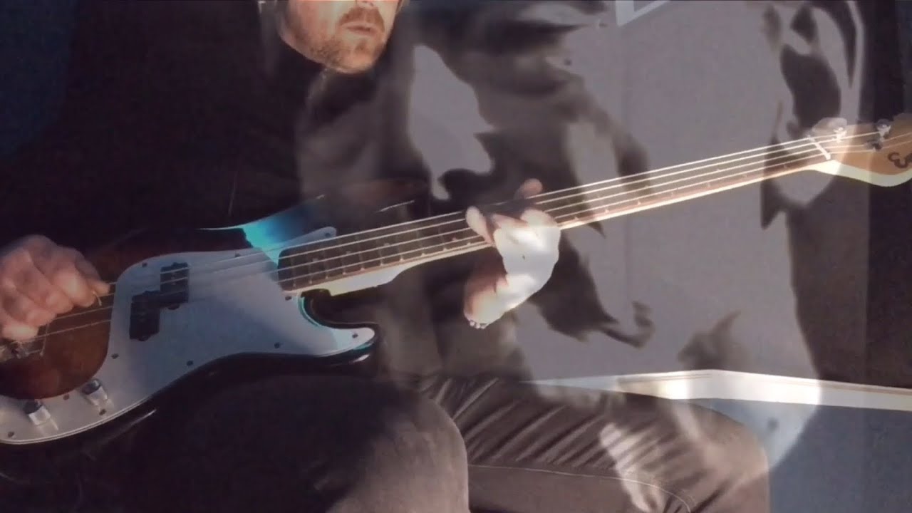 Amused To Death - (cover) Roger Waters Pink Floyd