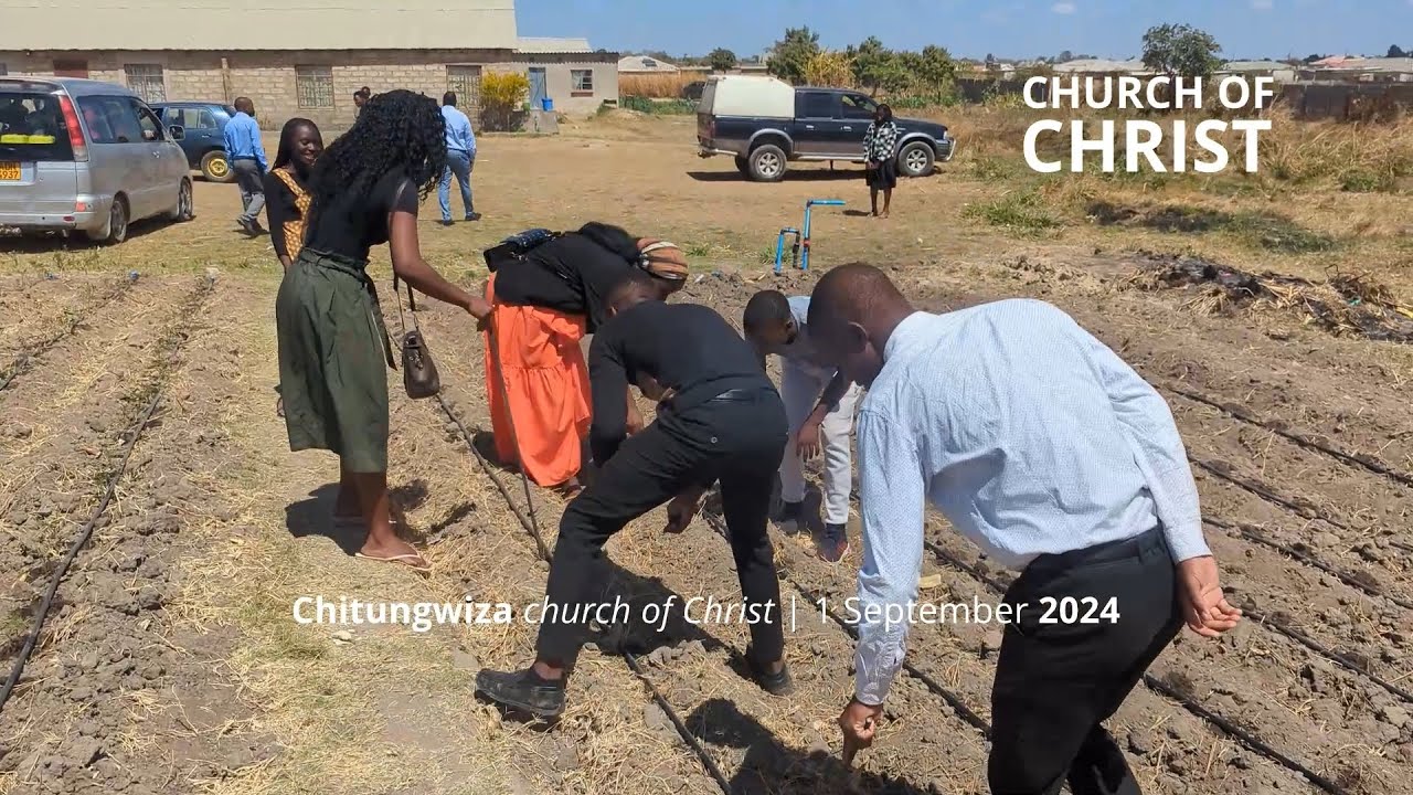 Chitungwiza church of Christ youths planting watermelons