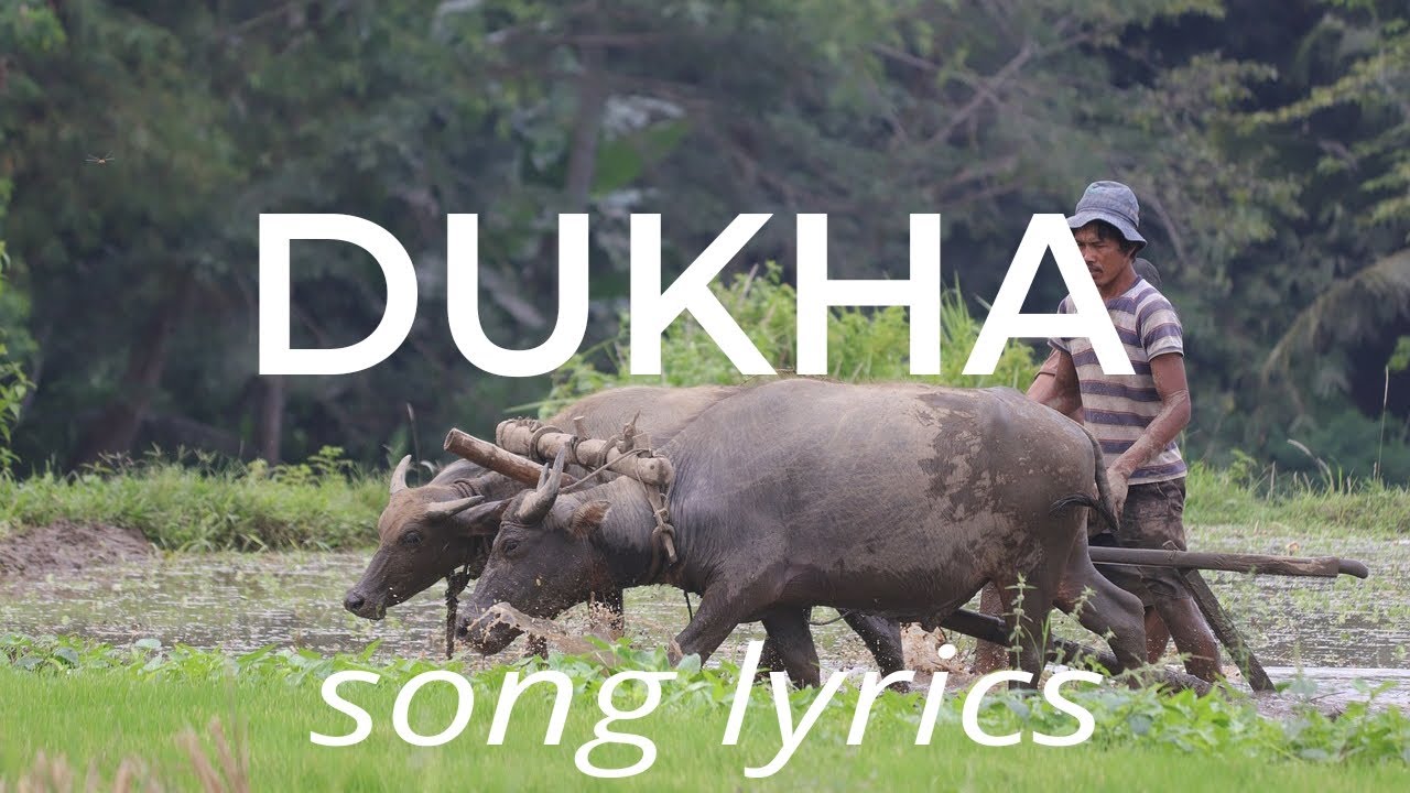 DUKHA - Judas || song lyrics || cover by TJ
