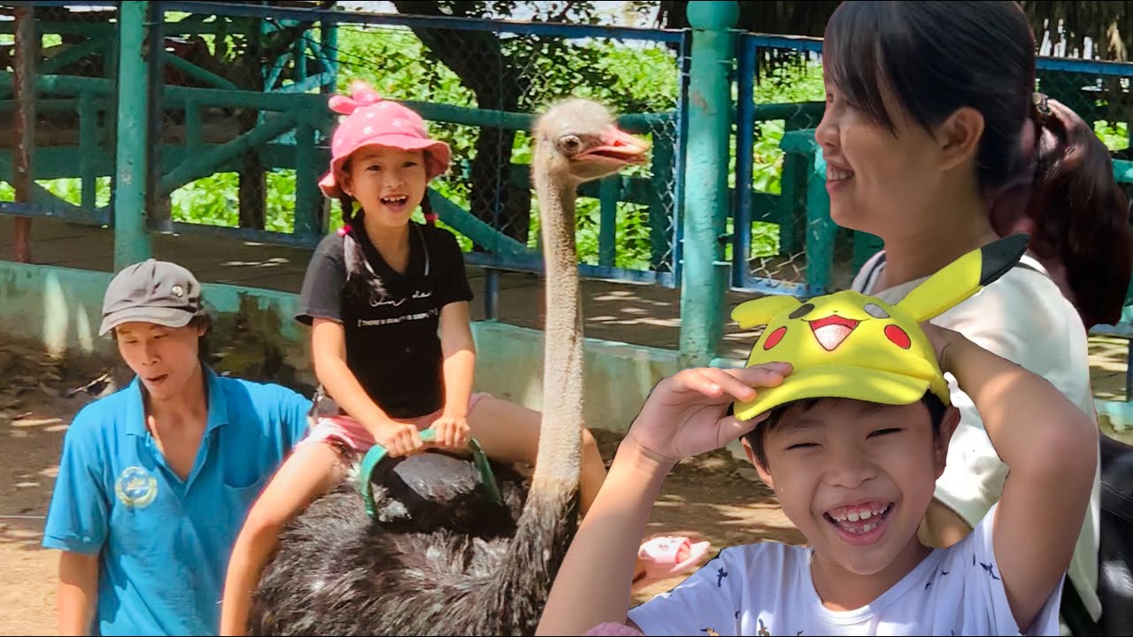 Gia Đình Stin Dâu Chơi Cưỡi Đà Điểu Tham Quan Vườn Cò Đi Thuyền Đến Khu Du Lịch Vinh Sang Vĩnh Long