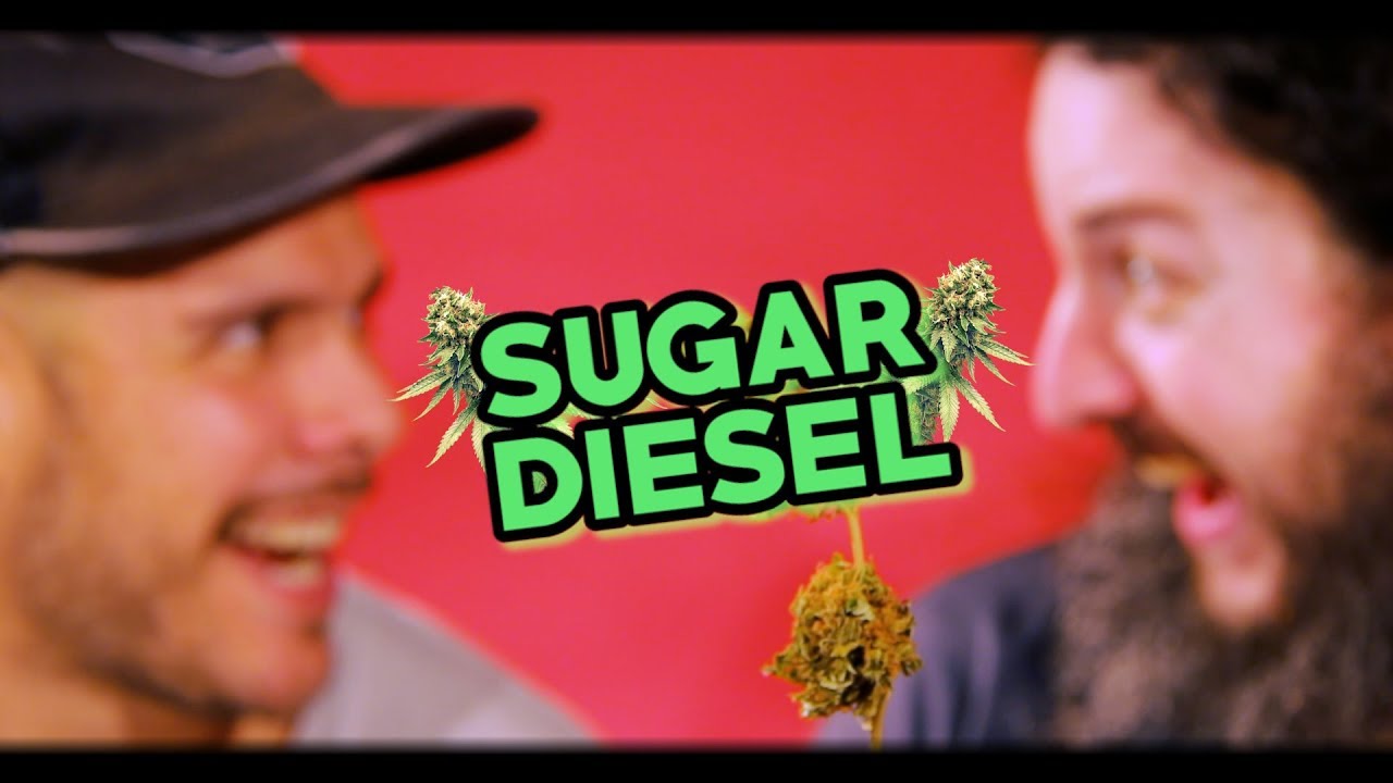 EL PODER DEL A&Ntilde;EJAMIENTO | #SugarDiesel *Final Fail