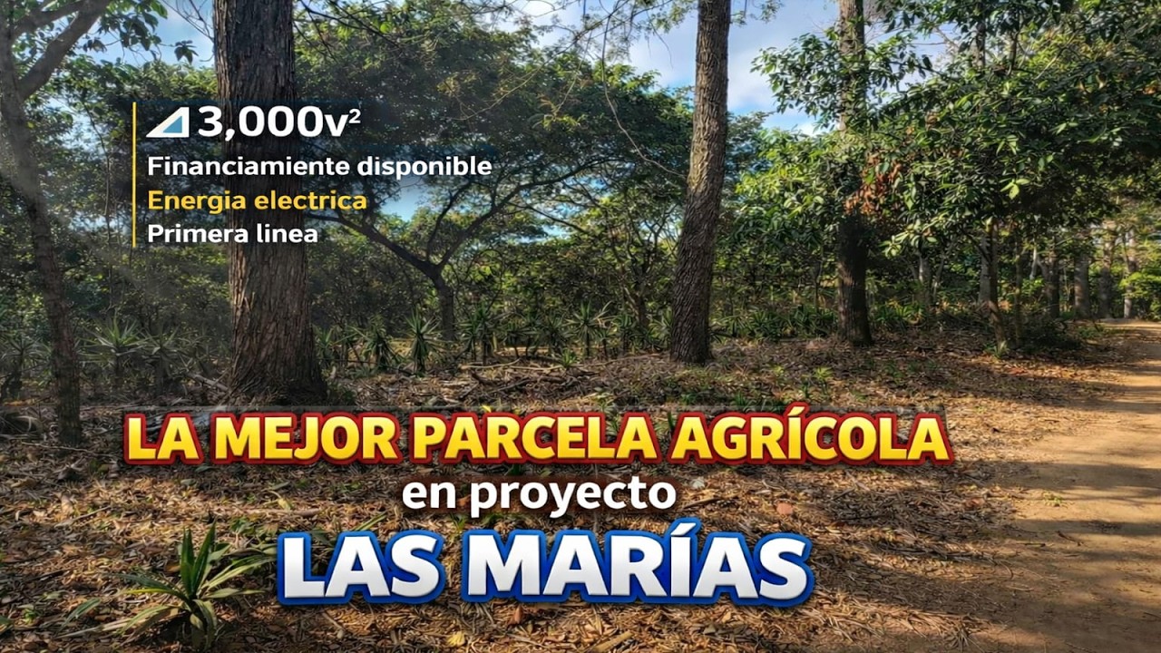 Se vende Parcela Primera Línea en Parcelación las Marias calle a los Naranjos
