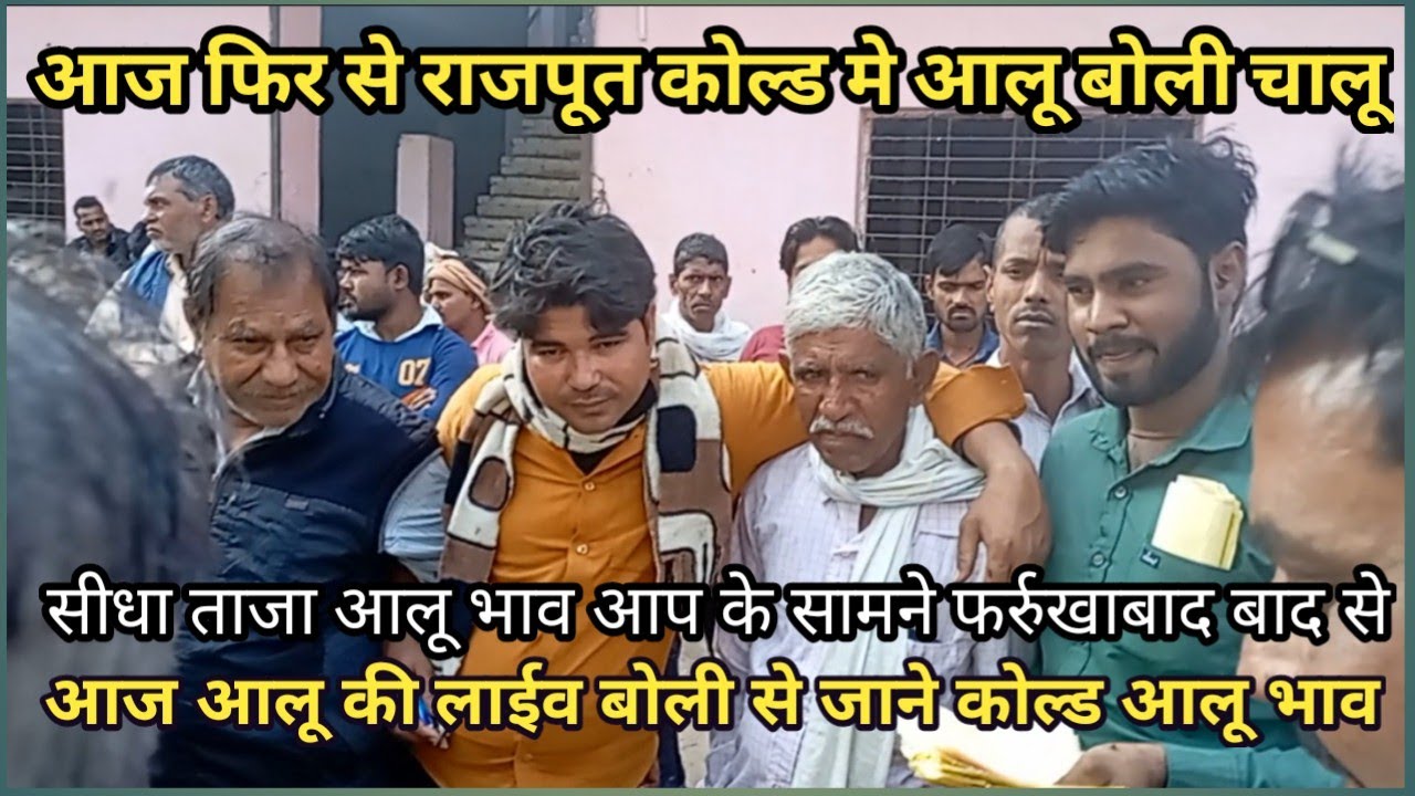 आज फिर राजपूत कोल्ड मे बोली चालू | आज का कोल्ड आलू भाव | फर्रुखाबाद से सीधा आलू भाव |ytamedia