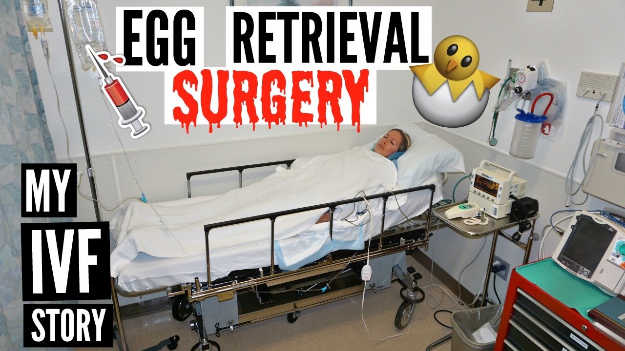 MY IVF EGG RETRIEVAL SURGERY