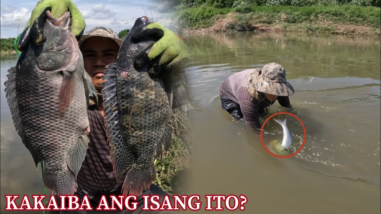 Bihira lang kami makahuli ng ganitong isda dito sa tabang?