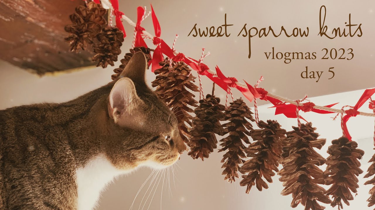 sweet sparrow knits - vlogmas 2023, day 5