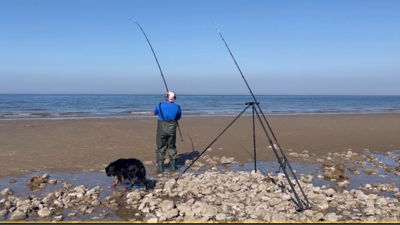 Beach Fishing for BASS❗️