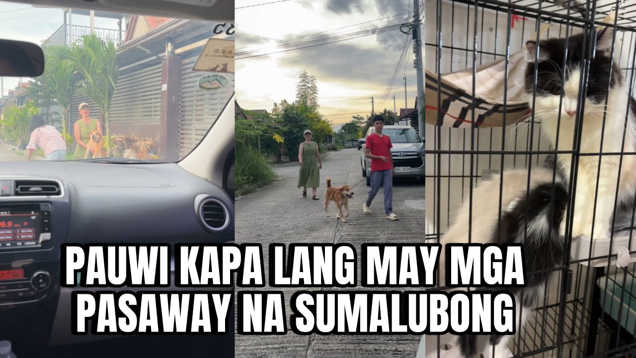 PAG-UWI NAMAIN NAKAWALA ANG MGA ASO | momarenyann