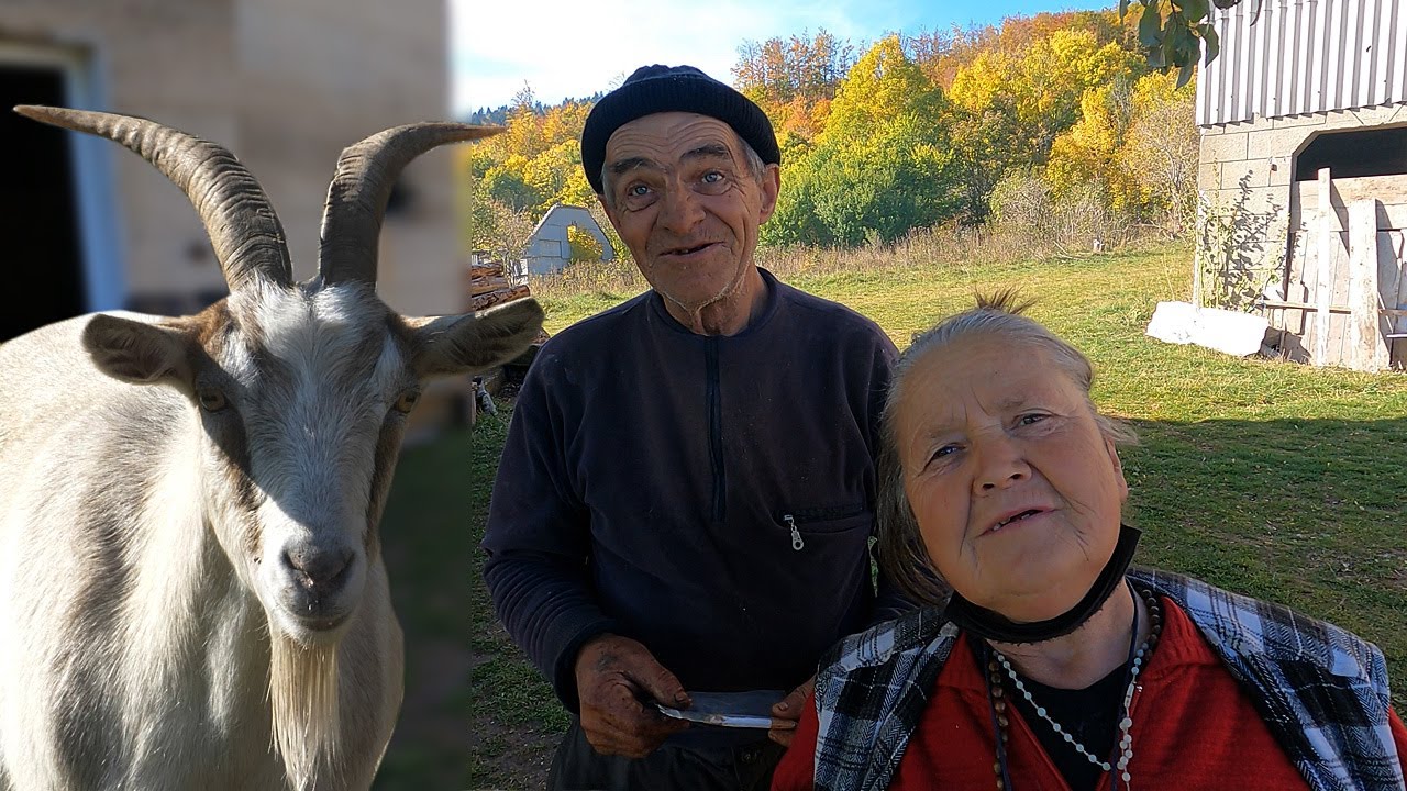 Samo ih jarac može spasiti