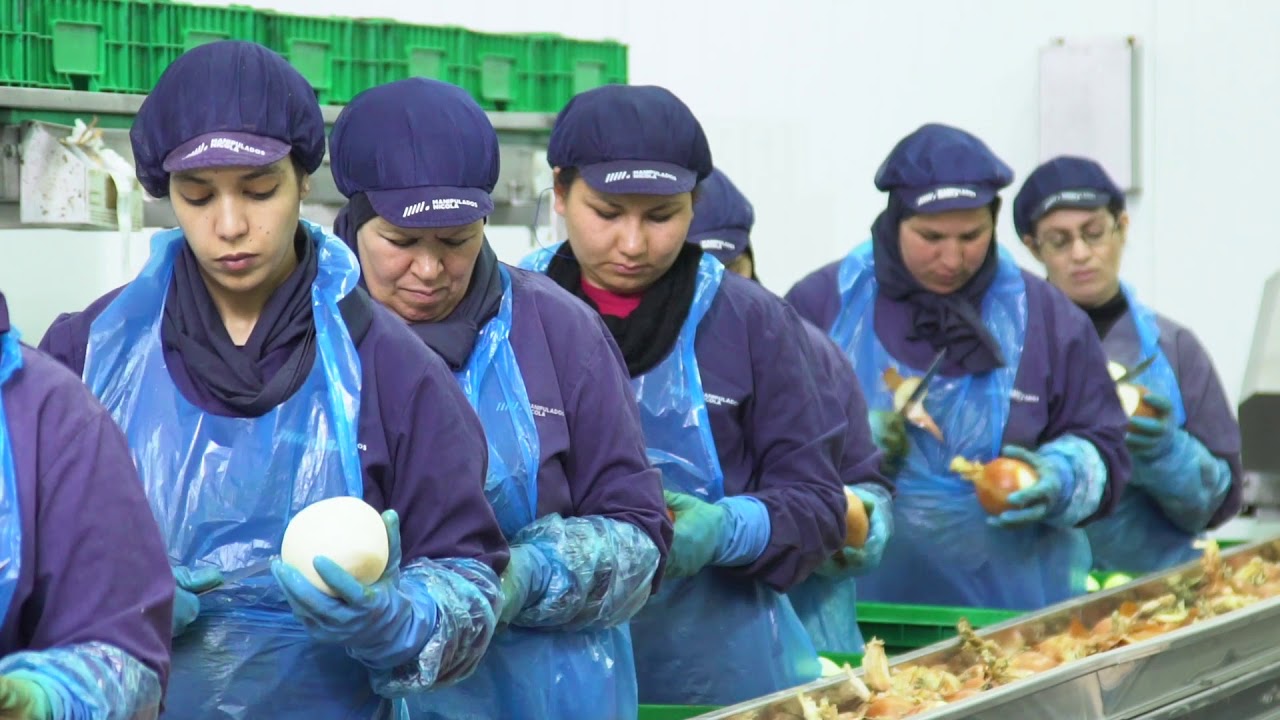 Vídeo corporativo Manipulados Nicola | 3d3 Comunicación