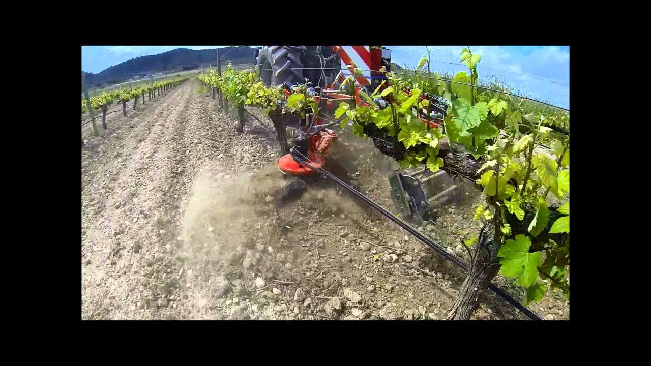 under vine weeder with Rotary hoe & blade for weed. Intercepas con rotor y cuchilla deshierba.