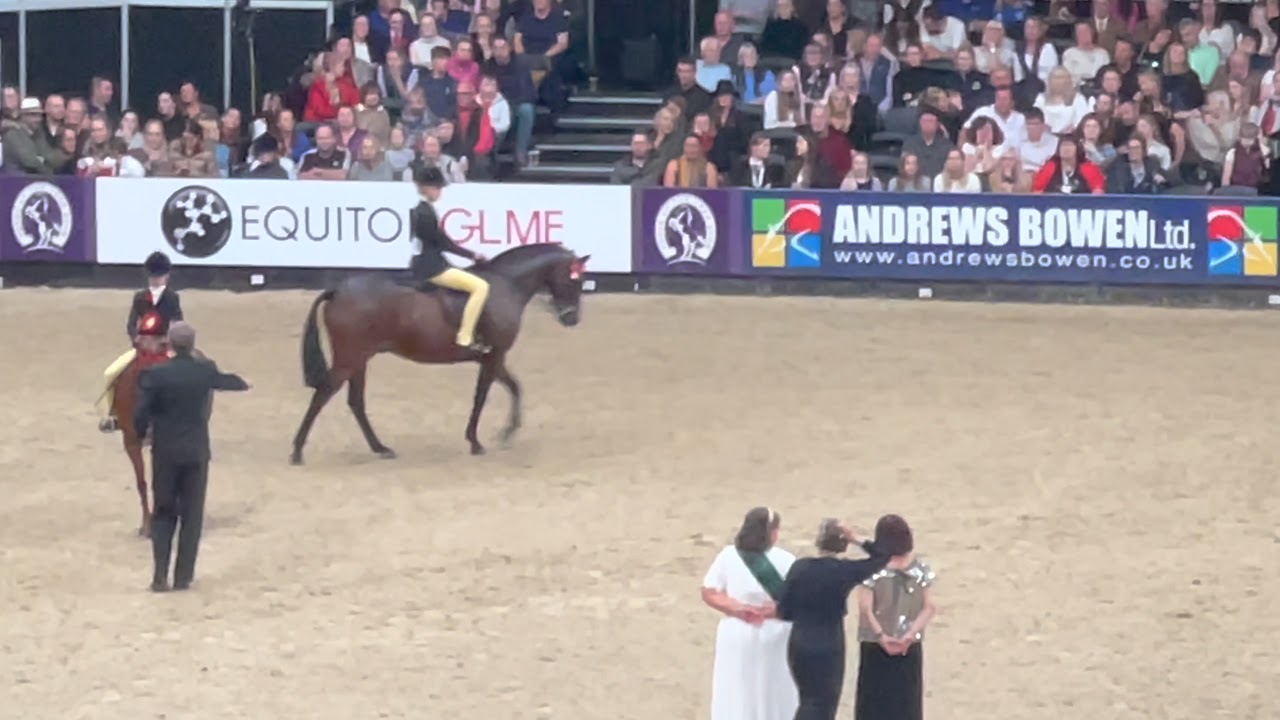 HOYS 2021 Show Pony Championship