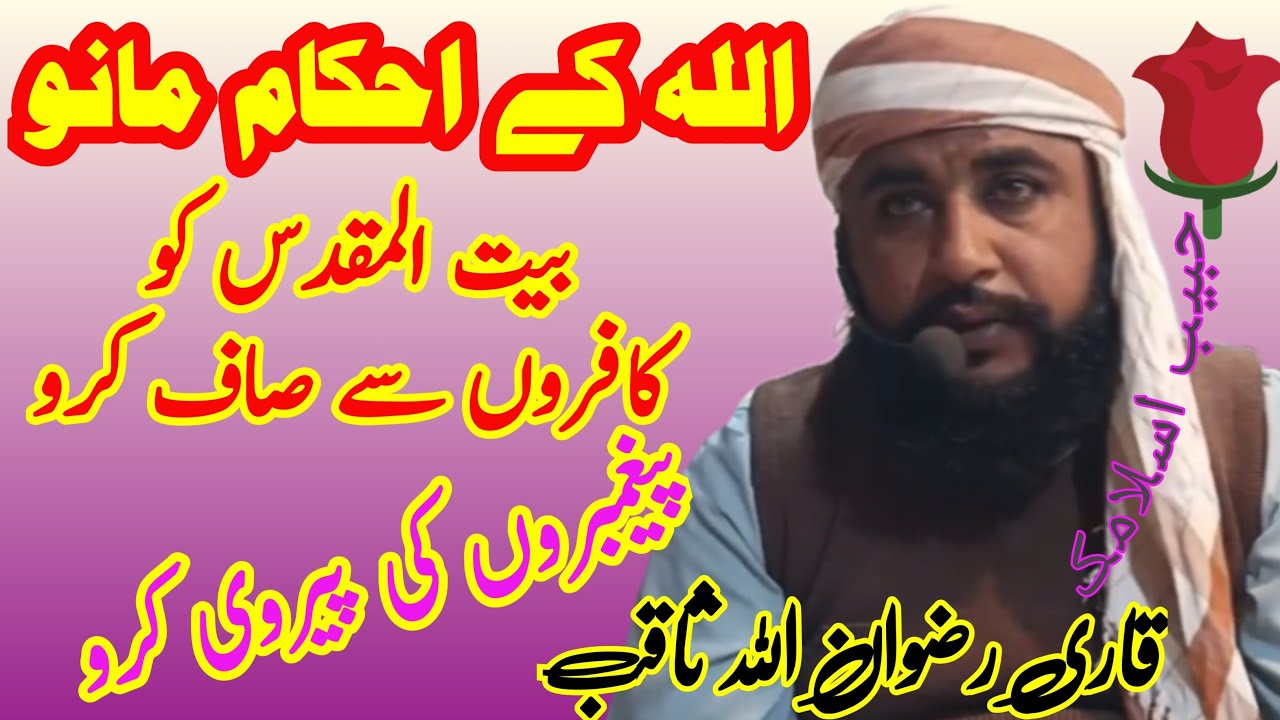 Habib Islamic  is live!