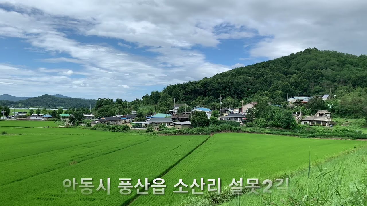[안동 마을구경] 풍산읍 소산리 설못 | 소산저수지