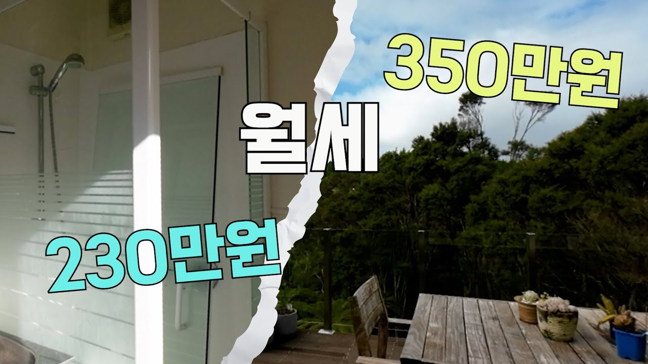 오클랜드 서쪽 지역 🏡들 주당$600대부터 $1100까지 쏵~ 봤습니다 [뉴질랜드]