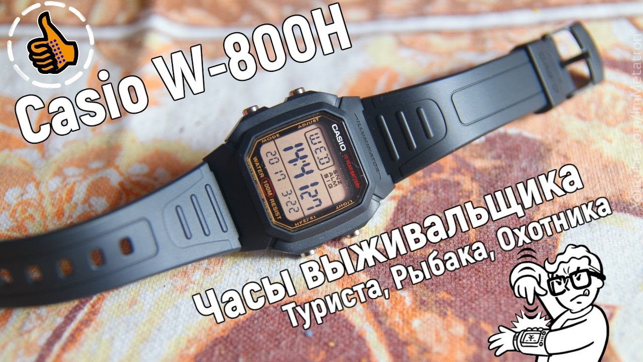 CASIO W-800HG Часы выживальщика - ОБЗОР