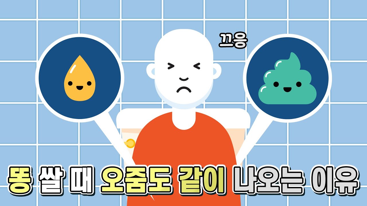 똥을 쌀 때 오줌도 같이 싸게 되는 이유