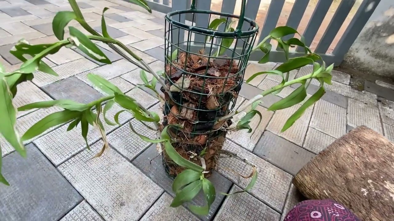 ആക്രി ഇരുമ്പ് കഷ്ണങ്ങൾ കൊണ്ട് ഒന്നാന്തരം pot stand  ഉണ്ടാക്കിയെടുക്കാം ❤️