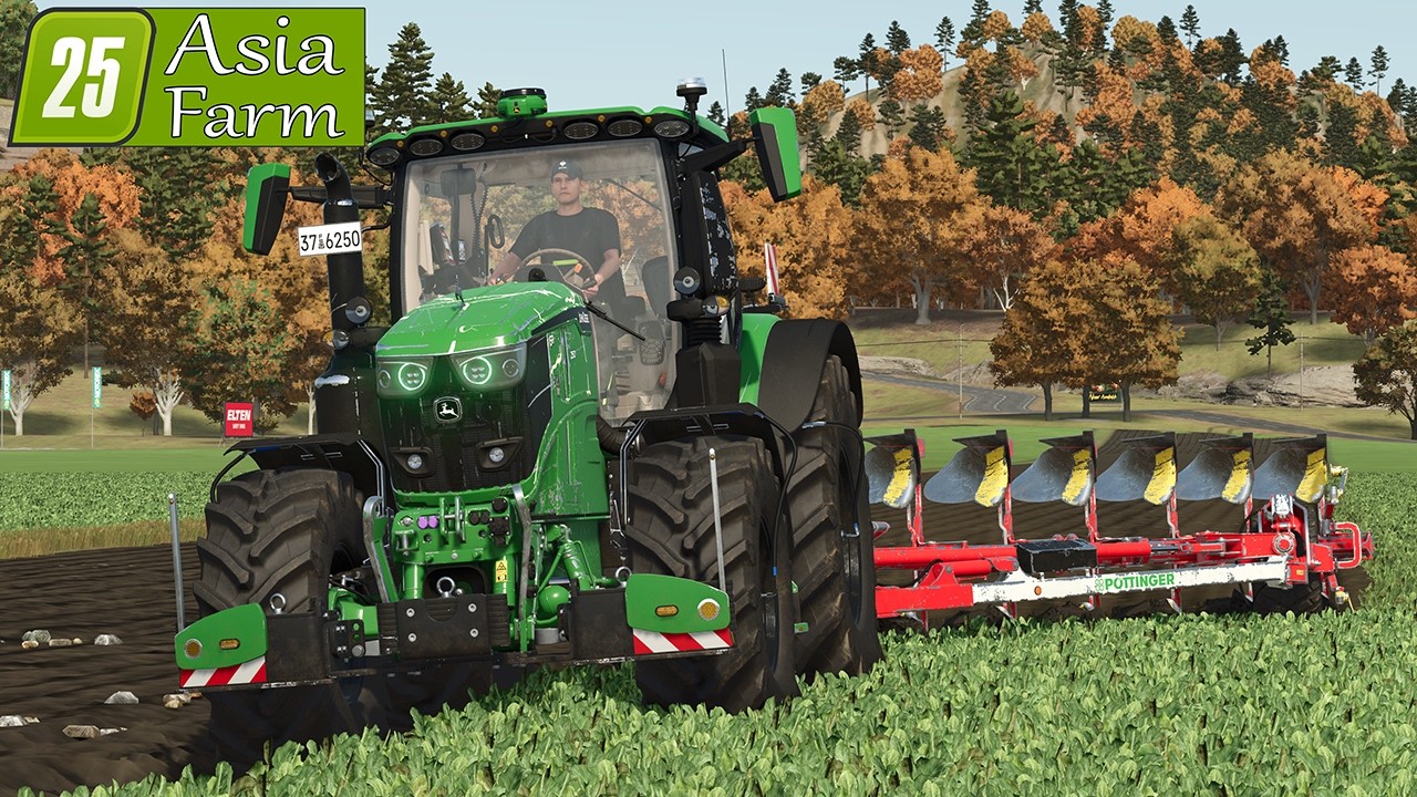 LS 25 Asia Farm #49 Zwischenfrucht pflügen mit dem 6R250!