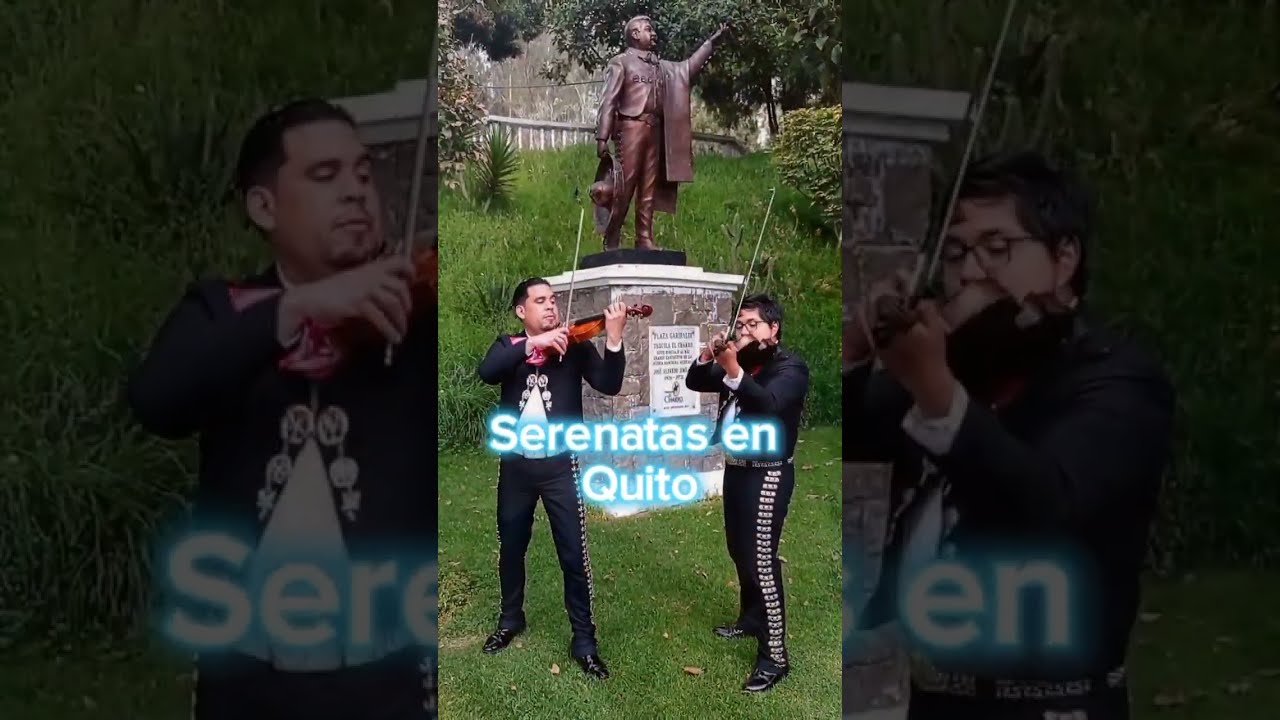 Show de Violines con Mariachi Viva Guadalajara - Mariachis en Quito - 099 643 4580