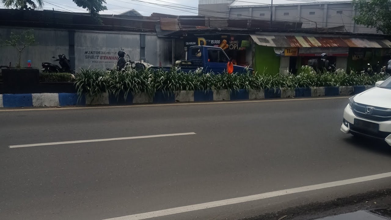 Perdana live