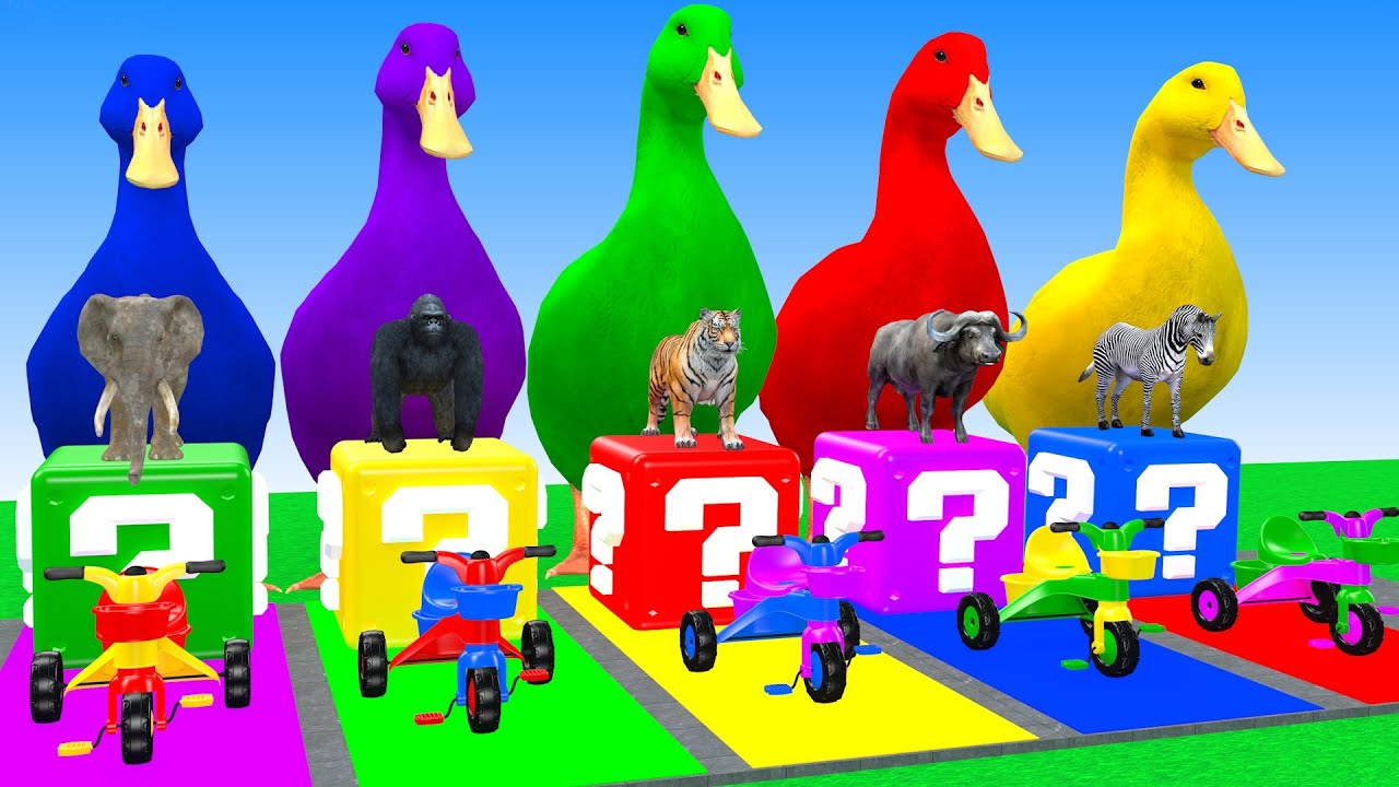 Long Slide Game With Elephant Gorilla Tiger Buffalo Zebra 3d Animal Game Funny 3d Animals