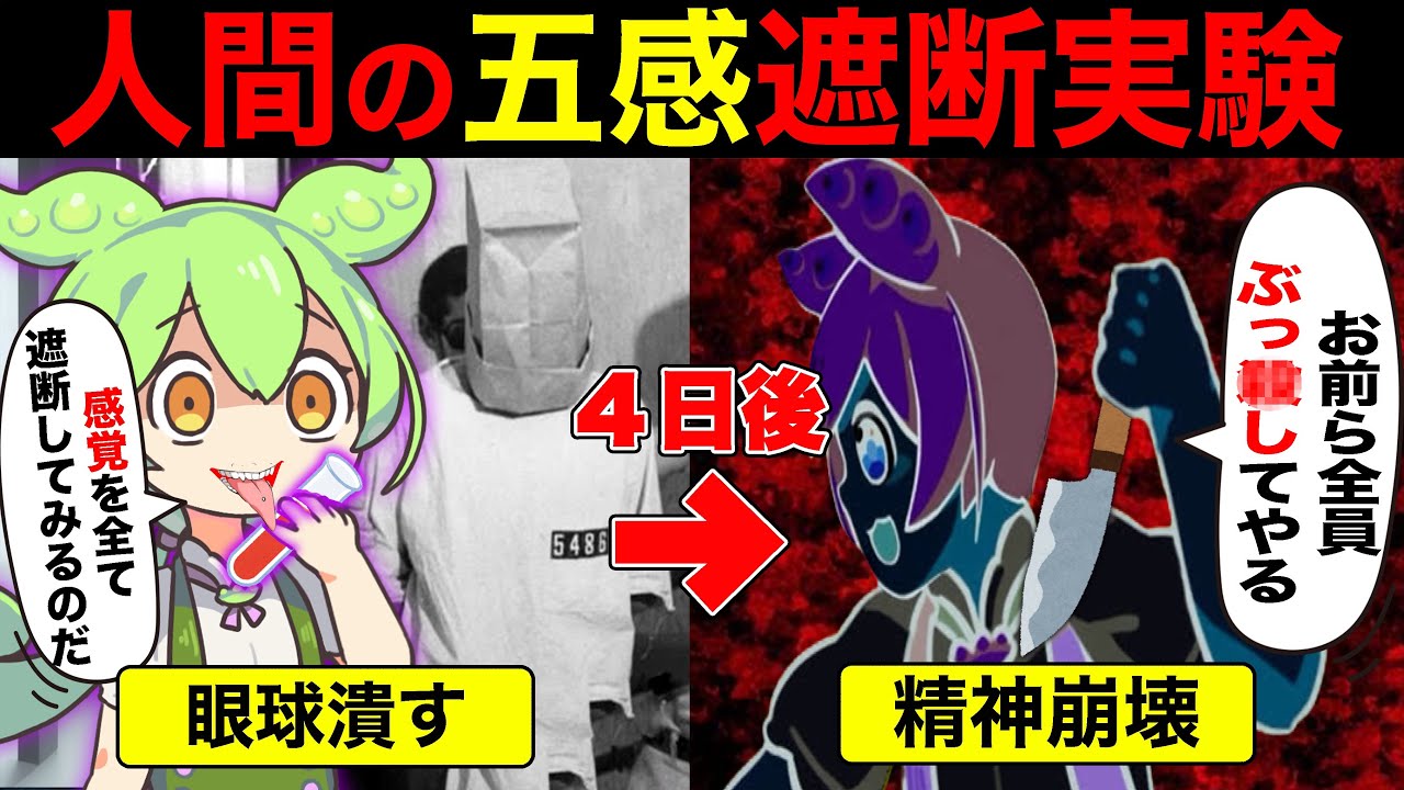【実話】悪魔の実験‼️五感全ての感覚を遮断した結果【ずんだもん&ゆっくり解説】