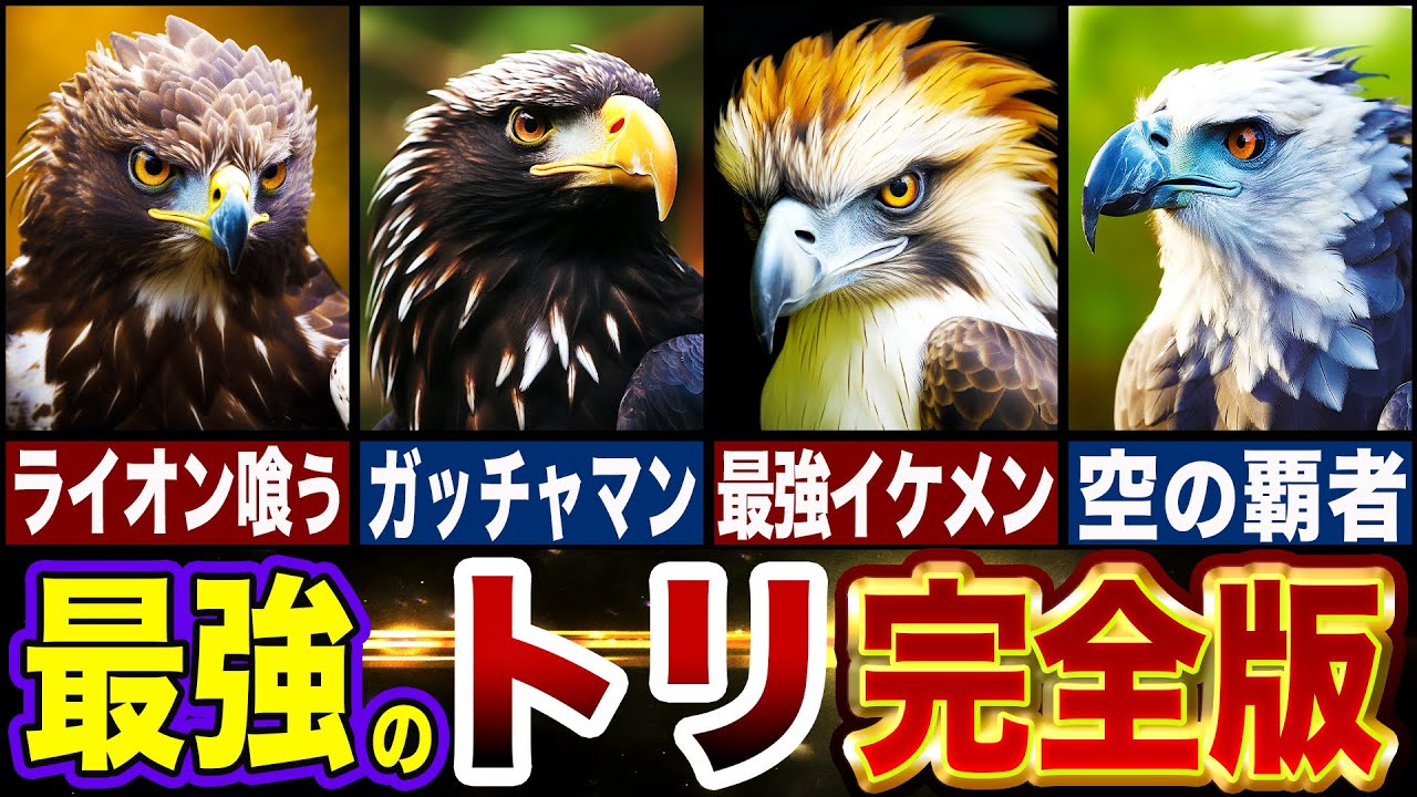 【最強の鳥】全てのトリの頂点とは…!?最強トリランキングTOP10【ゆっくり解説】